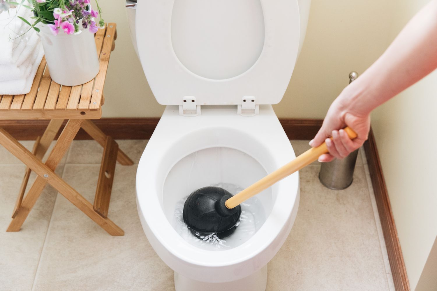 Toilet Clogging